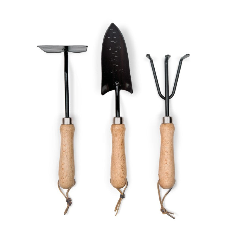 Premium 3-pcs garden tool set in a pine box, featuring stainless steel tools with beech wood handles for comfort and durability.