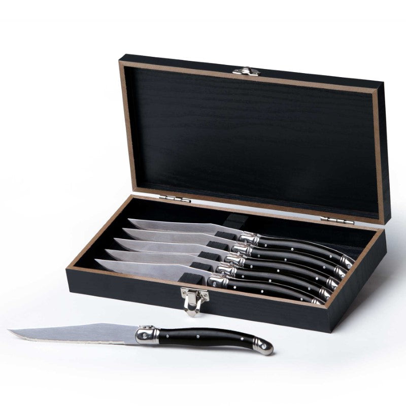 Euro 6 pcs Knife Set featuring stainless steel blades, ergonomic handles, and elegant presentation box for cooking enthusiasts.