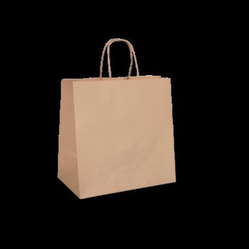 Brown large paper carry bag with twist handle, measuring 305x305x175mm, pack of 250, eco-friendly and durable by Detpak.