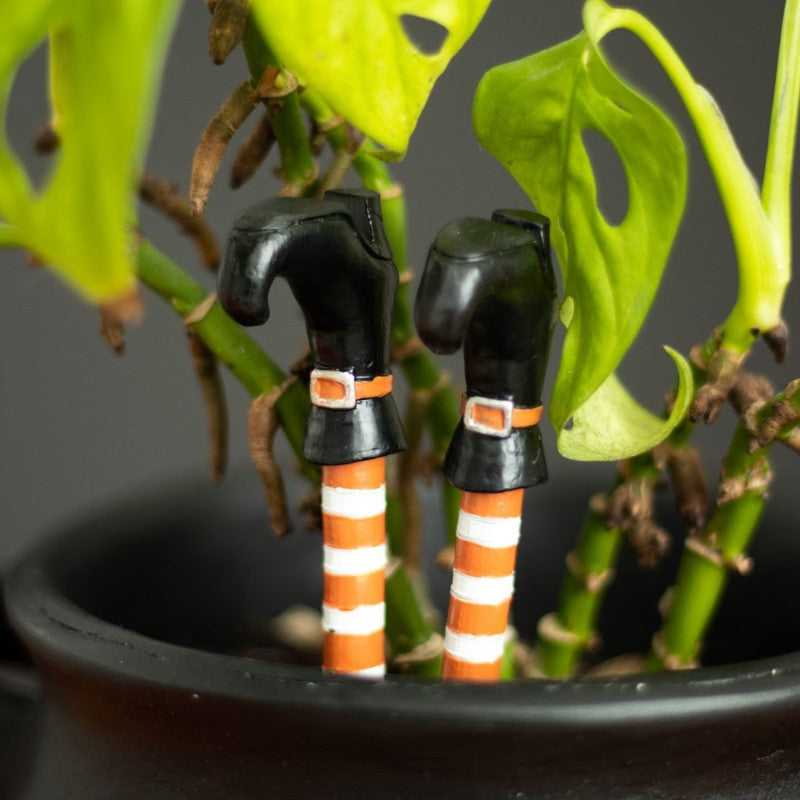 Whimsical resin witch legs planter ornaments with striped socks and black boots, perfect for Halloween decor and plant displays.