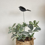 Mini Tui Plant Stake with 3D wings, crafted from durable acrylic, 40cm tall, adds charm to any plant or bouquet.
