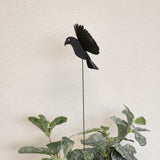 Mini Kea Plant Stake with 3D wings, 40cm tall, adds whimsical charm to gardens and indoor plants.