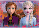 Two 12-piece puzzles featuring beloved characters from Disney's Frozen 2, designed for preschoolers' skill development and fun.