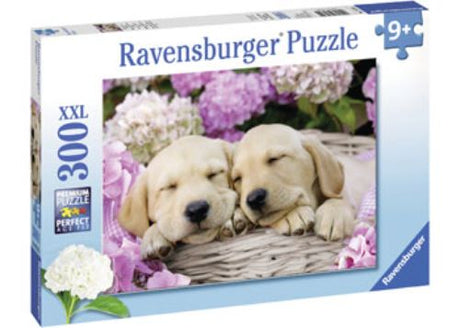 Colorful 300-piece puzzle featuring adorable puppies in a basket, perfect for dog lovers and family fun.