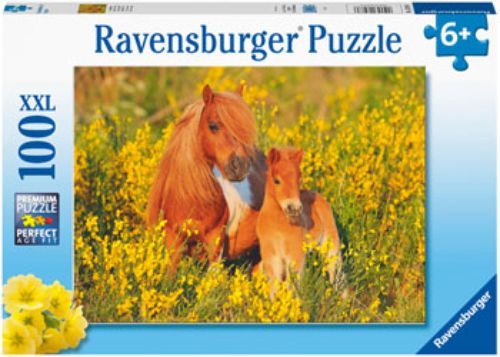 Vibrant 100-piece Ravensburger puzzle featuring charming Shetland ponies, perfect for family fun and cognitive development.