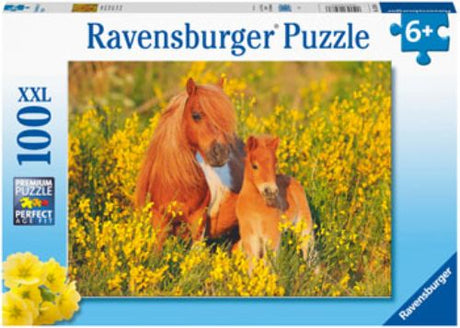 Vibrant 100-piece Ravensburger puzzle featuring charming Shetland ponies, perfect for family fun and cognitive development.