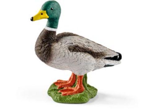 Realistic Schleich - Drake figure featuring vibrant plumage, perfect for imaginative play and wildlife education for ages 3+.