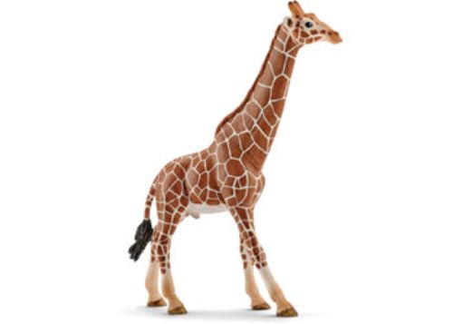 Lifelike male giraffe figurine by Schleich, featuring a long neck and spotted coat for imaginative play and learning.