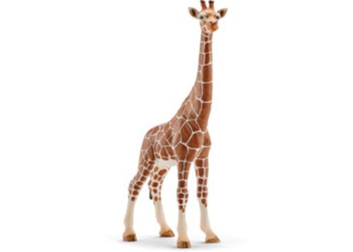 Realistic female giraffe figurine with detailed spots, slender neck, and horns; perfect for imaginative play and education.