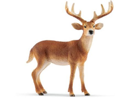 Detailed hand-painted Schleich White-tailed Buck figurine, showcasing its graceful posture and characteristic white tail.