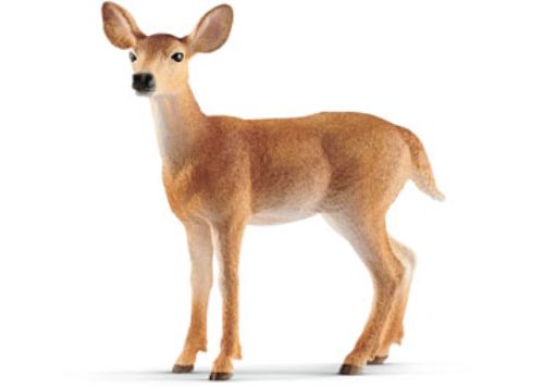 Detailed White-tailed Doe figurine showcasing intricate features and realistic design for education and imaginative play.