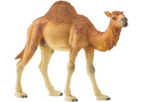 Schleich Dromedary figurine showcases detailed features of the desert-dwelling camel with a prominent hump.