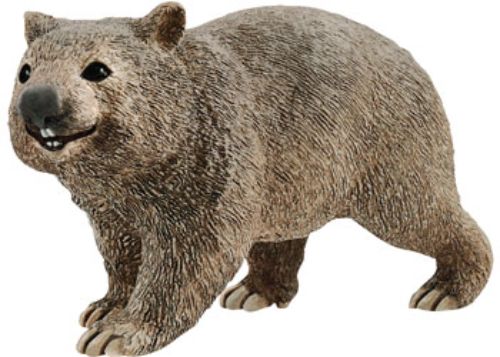 Adorable Schleich Wombat figurine, showcasing detailed features of the unique Australian marsupial for play and display.