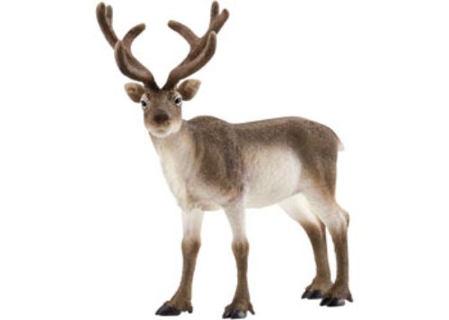 Lifelike Schleich Reindeer figurine with realistic antlers, perfect for imaginative play and wildlife education.