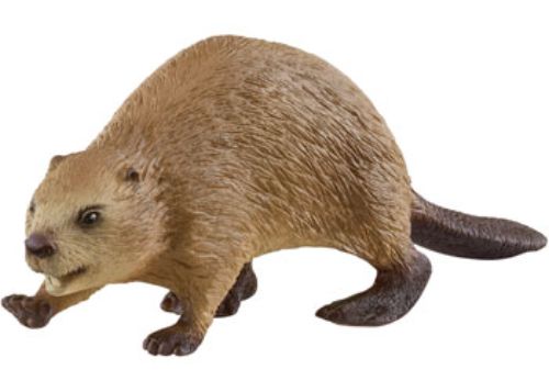 Realistic Schleich Beaver figure with flat tail and strong teeth, perfect for imaginative play and wildlife education for kids.