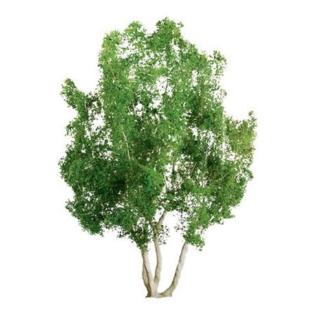 Pack of 2 detailed Snow Gum trees (75-85mm) for realistic model landscapes and dioramas. Ideal for winter or bushland scenes.