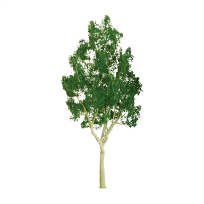 Lifelike 100mm Mountain Gum trees by JTT Scenery, perfect for enhancing miniature landscapes with realism.