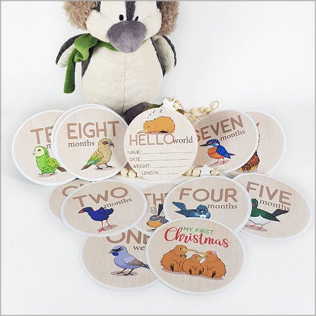 Milestone Discs Set featuring NZ Birds, 15 colorful fabric stickers for documenting baby's growth and milestones.