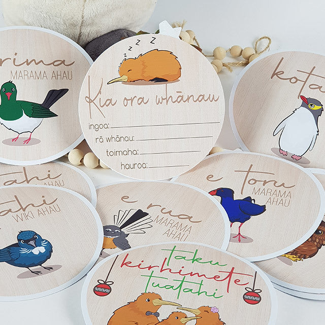 Milestone discs set featuring vibrant NZ birds for capturing baby's first year in Te Reo Maori, eco-friendly and reusable.