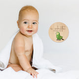 Milestone Discs Set featuring NZ birds for documenting baby growth, eco-friendly, reusable fabric stickers with a matte finish.