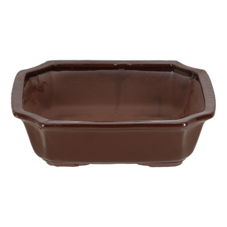 Elegant rectangular large bonsai pots set (31 x 25 x 10cm) designed for nurturing miniature trees and enhancing indoor decor.