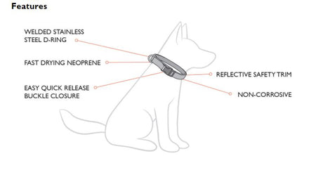Bright and durable large neoprene dog collar with reflective piping, stainless steel D-Ring, and quick-release buckle in Candy color.