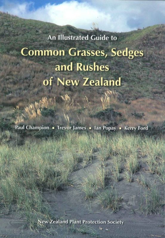 An Illustrated Guide to Common Grasses Sedges and Rushes of New Zealand