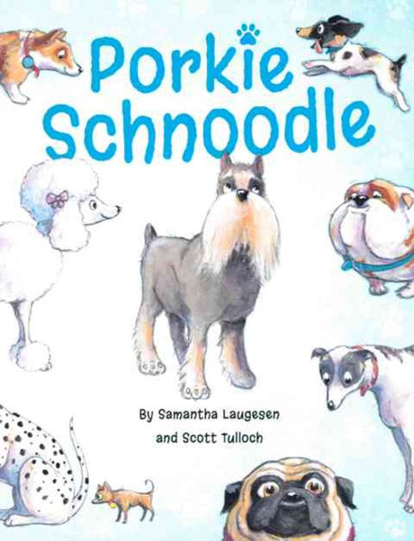 Adorable Porkie Schnoodle showcasing its playful personality and low-shedding coat, perfect for families and apartment living.