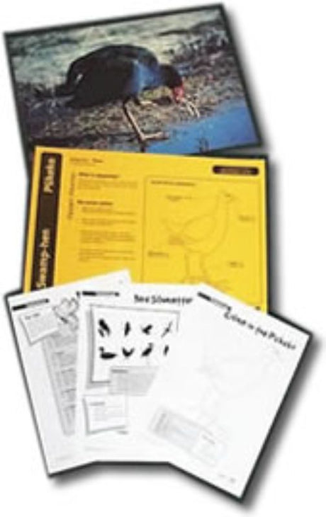 A teacher's resource kit featuring laminated A3 photos of native NZ birds with educational details for interactive learning.