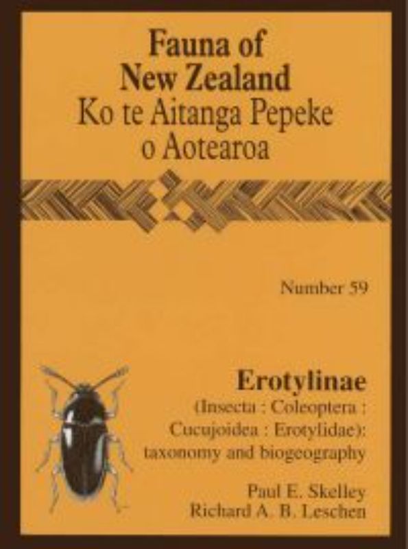 FAUNA OF NZ 59 EROTYLINAE