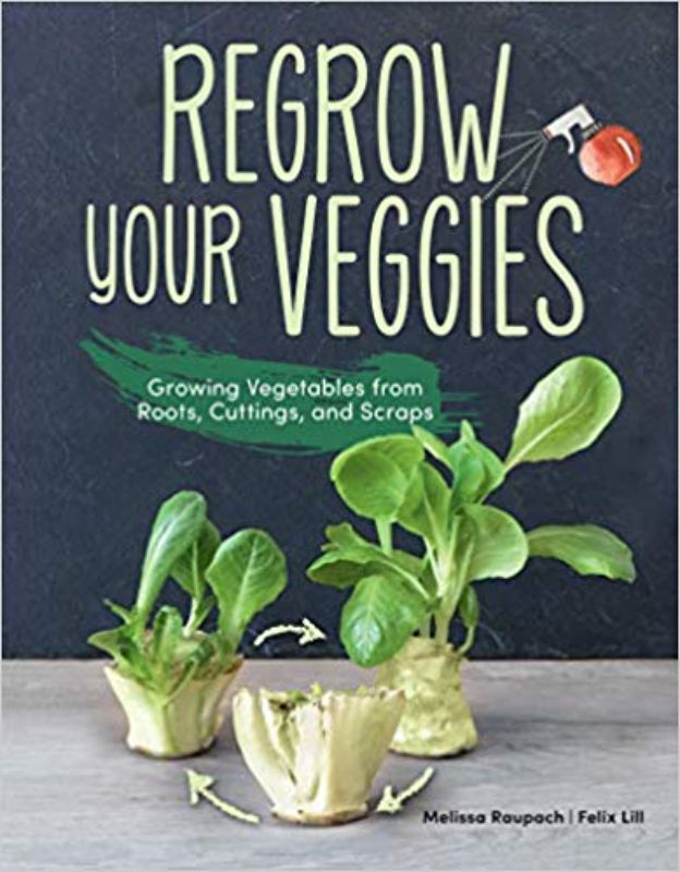 Guide to regrowing 20+ vegetables at home, featuring eco-friendly tips and sustainable gardening techniques.