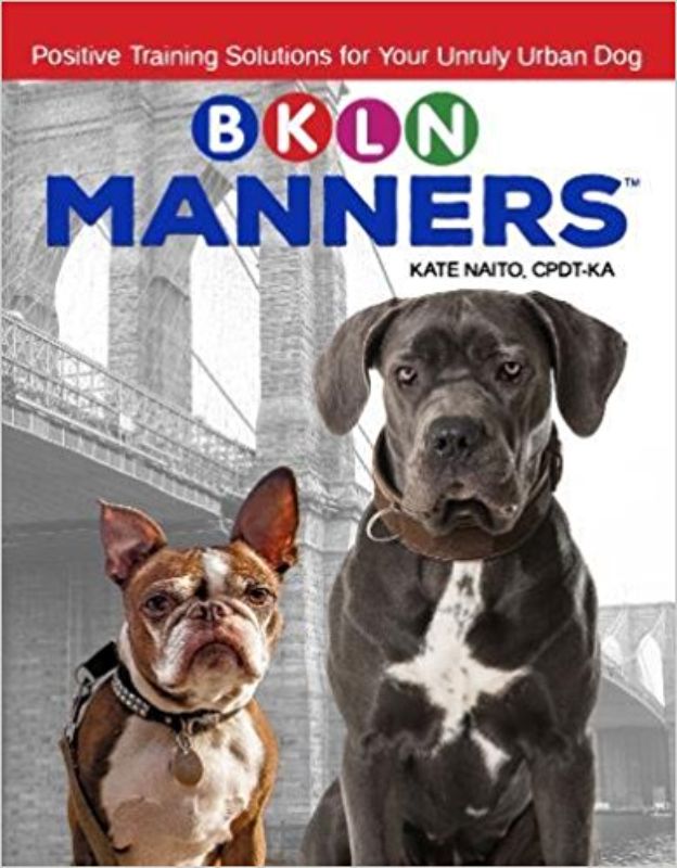 Comprehensive training guide for urban dog owners to transform unruly pups into well-mannered companions.