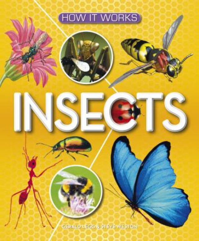 A beautifully illustrated hardback book, 'How it Works - Insects', features 48 pages of engaging insect facts and stunning visuals.