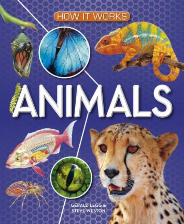 Hardback children's book 'How it Works - Animals' featuring vibrant illustrations and facts about wildlife for young explorers.