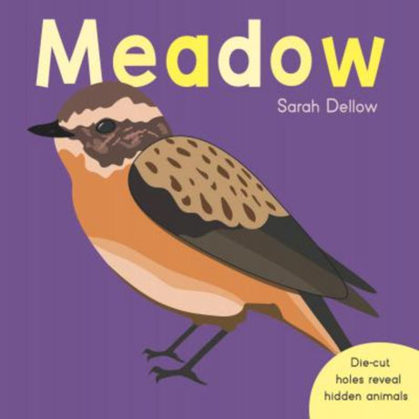 Hardback children's book featuring high contrast illustrations and die-cut holes, introducing shapes and patterns for toddlers.