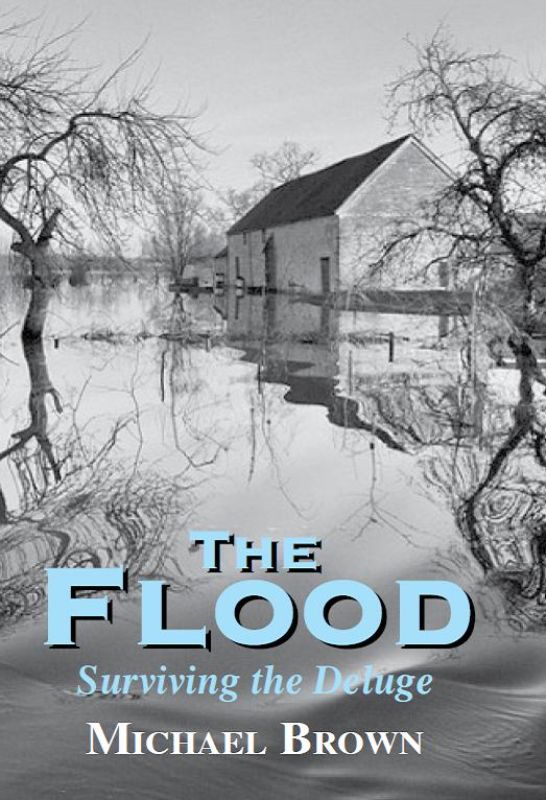 Hardback book 'The Flood' by Michael Brown, exploring human resilience during a community's flood experience in the Somerset Levels.
