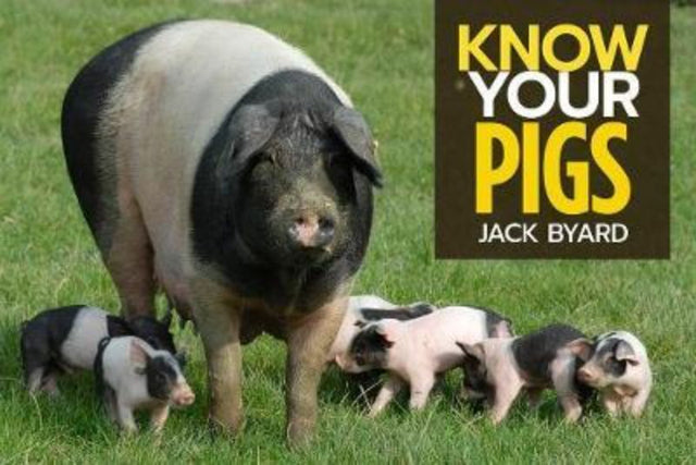 "Cover of 'Know Your Pigs' by Jack Byard, a colorful guide showcasing various pig breeds and their unique traits."