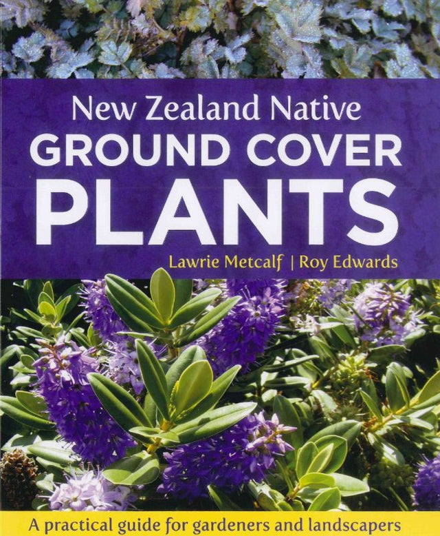 A vibrant display of New Zealand native ground cover plants showcasing diverse colors and textures for sustainable gardens.