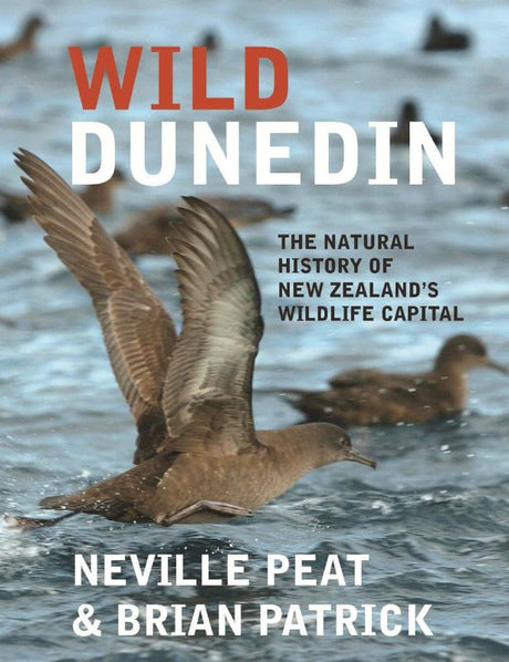 Beautifully illustrated guide showcasing Dunedin's diverse habitats, wildlife, and landscapes. Perfect for nature lovers and explorers.