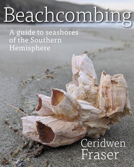 "Book cover of 'Beachcombing: A Guide to Seashores of the Southern Hemisphere' by Ceridwen Fraser, showcasing coastal treasures."