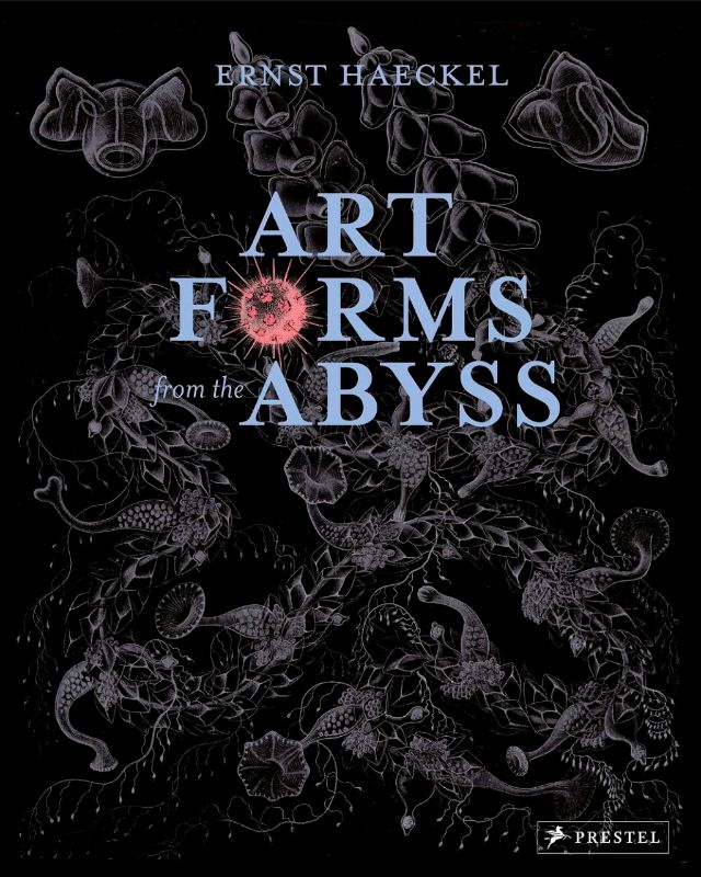A beautifully illustrated collection of Ernst Haeckel's marine organism artwork from the HMS Challenger expedition.