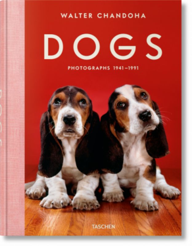 Dogs - Walter Chandoha Photographs 1941-1991