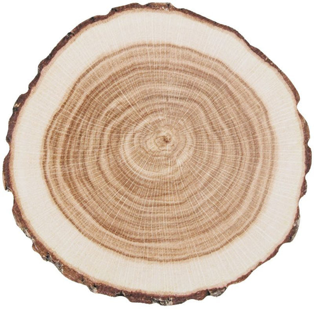 Disposable paper coasters with a tree trunk design, 10cm, set of 10, perfect for rustic gatherings and protecting surfaces.