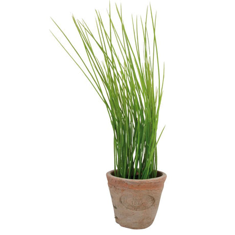 Set of 4 artificial chives in terracotta pots, measuring 12 x 12 x 28 cm, adding vibrant greenery to any decor.