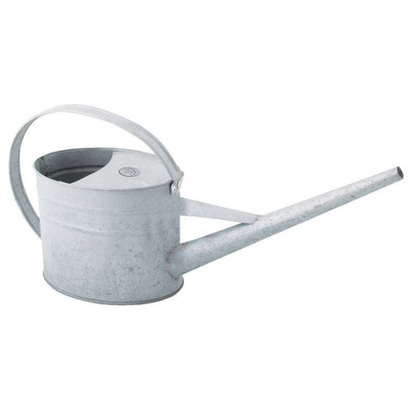 Vintage-inspired zinc watering can with a long nozzle for precise indoor and outdoor plant care, 1.6L capacity.