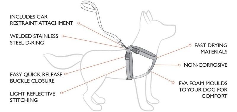 Dog Harness - EzyDog Chest Plate Harness - Large (Black)