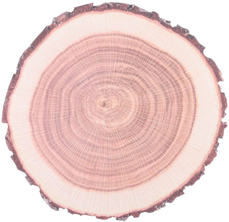 Disposable paper placemats in tree trunk design, 38cm, eco-friendly and perfect for protecting tables at gatherings or meals.