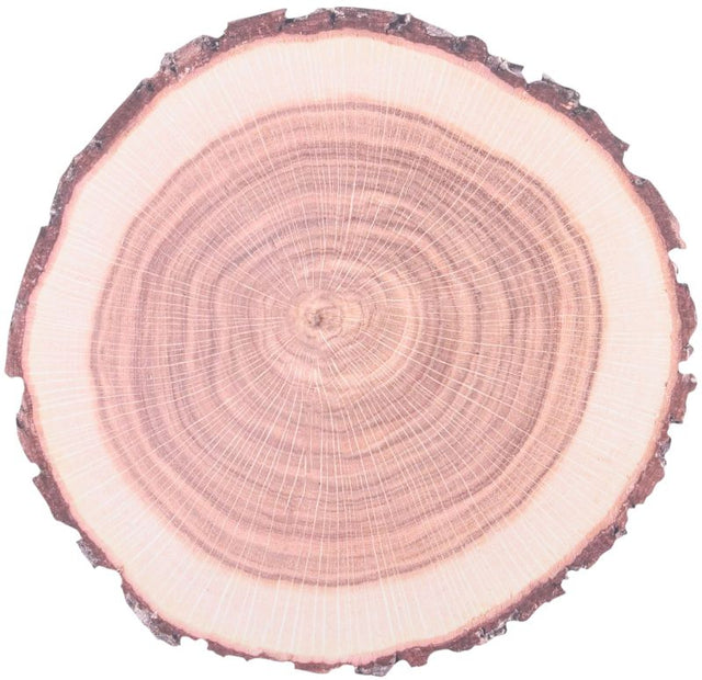 Disposable paper placemats in tree trunk design, 38cm, eco-friendly and perfect for protecting tables at gatherings or meals.