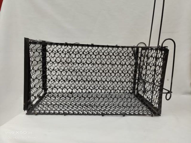Large black rat traps (set of 6), designed for effective and humane rodent capture, measuring 23 x 9 x 8 cm each.