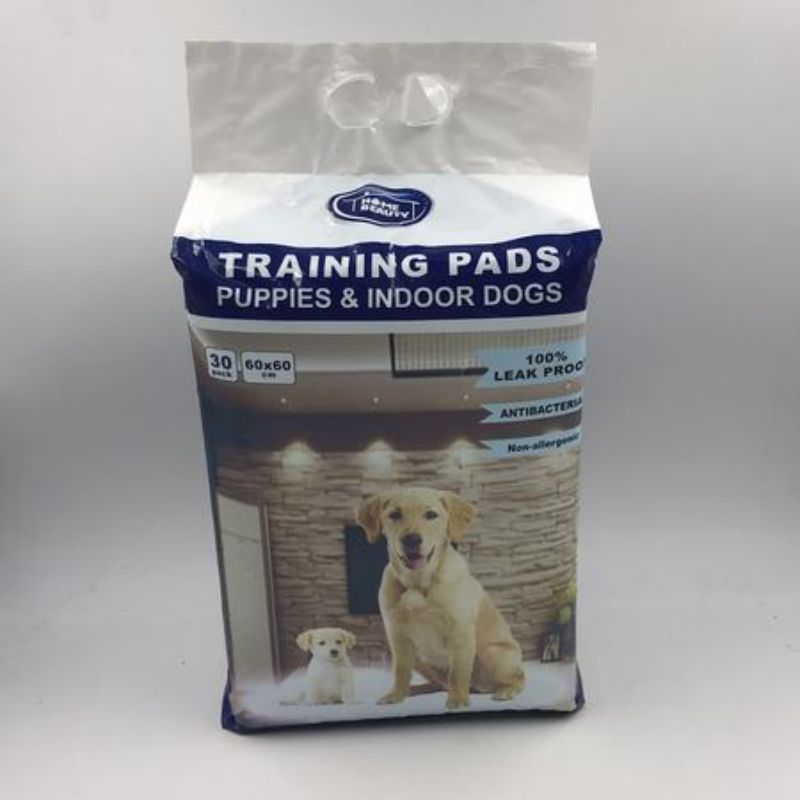 Premium training pads for puppies, featuring 240 absorbent pads designed for mess-free indoor pet training.